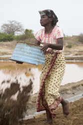 Ng'ombeni, Kenya (13 February 2014).