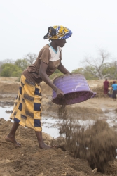 Ng'ombeni, Kenya (13 February 2014).