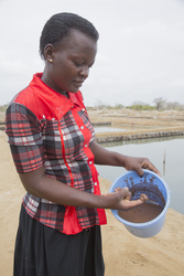 Ng'ombeni, Kenya (13 February 2014).