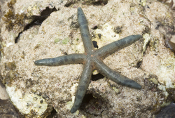 Mombasa, Kenya (14 February 2014).