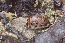 Mombasa, Kenya (14 February 2014).