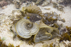 Mombasa, Kenya (14 February 2014).