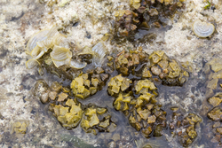 Mombasa, Kenya (14 February 2014).