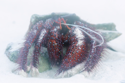 Mombasa, Kenya (14 February 2014).