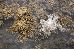 Mombasa, Kenya (14 February 2014).