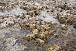 Mombasa, Kenya (14 February 2014).