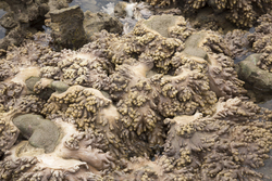 Mombasa, Kenya (14 February 2014).