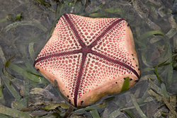 Mombasa, Kenya (14 February 2014).