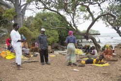 Shimoni, Kenya (16 February 2014).