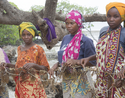 Shimoni, Kenya (16 February 2014).