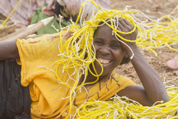 Shimoni, Kenya (16 February 2014).
