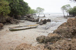 Shimoni, Kenya (16 February 2014).