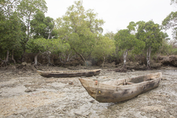 Shimoni, Kenya (16 February 2014).