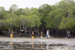 Shimoni, Kenya (16 February 2014).