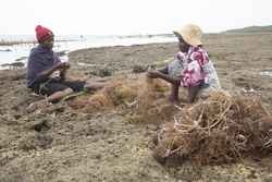 Shimoni, Kenya (16 February 2014).