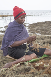 Shimoni, Kenya (16 February 2014).