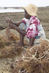Shimoni, Kenya (16 February 2014).