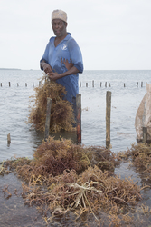 Shimoni, Kenya (16 February 2014).