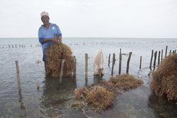 Shimoni, Kenya (16 February 2014).