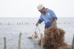 Shimoni, Kenya (16 February 2014).
