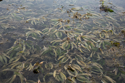 Shimoni, Kenya (16 February 2014).