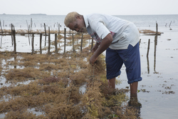 Shimoni, Kenya (16 February 2014).