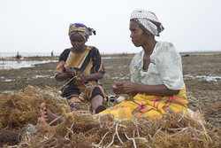 Shimoni, Kenya (16 February 2014).