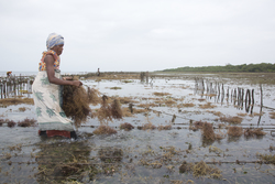 Shimoni, Kenya (16 February 2014).