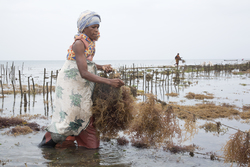 Shimoni, Kenya (16 February 2014).