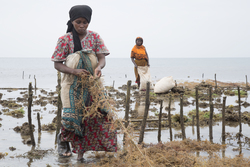 Shimoni, Kenya (16 February 2014).
