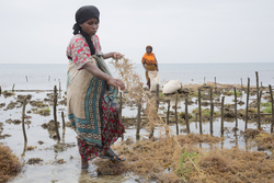 Shimoni, Kenya (16 February 2014).