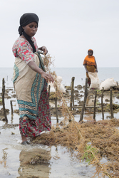 Shimoni, Kenya (16 February 2014).
