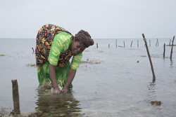 Shimoni, Kenya (16 February 2014).
