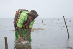 Shimoni, Kenya (16 February 2014).