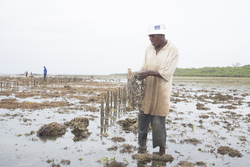 Shimoni, Kenya (16 February 2014).
