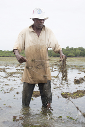 Shimoni, Kenya (16 February 2014).