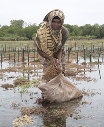 Shimoni, Kenya (16 February 2014).