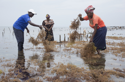Shimoni, Kenya (16 February 2014).