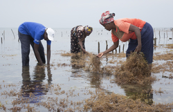 Shimoni, Kenya (16 February 2014).