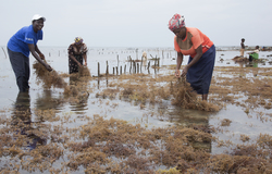 Shimoni, Kenya (16 February 2014).