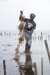 Shimoni, Kenya (16 February 2014).