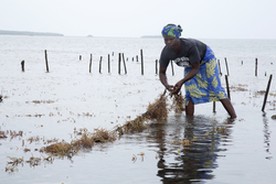 Shimoni, Kenya (16 February 2014).