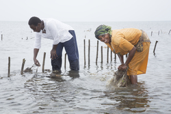 Shimoni, Kenya (16 February 2014).