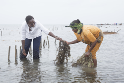 Shimoni, Kenya (16 February 2014).