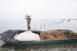 Shimoni, Kenya (16 February 2014).