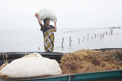 Shimoni, Kenya (16 February 2014).