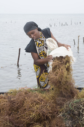 Shimoni, Kenya (16 February 2014).