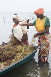 Shimoni, Kenya (16 February 2014).