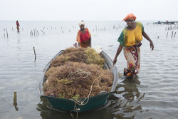 Shimoni, Kenya (16 February 2014).