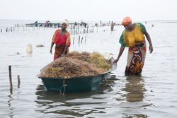 Shimoni, Kenya (16 February 2014).